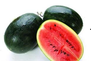 今日黑瓜吃料网